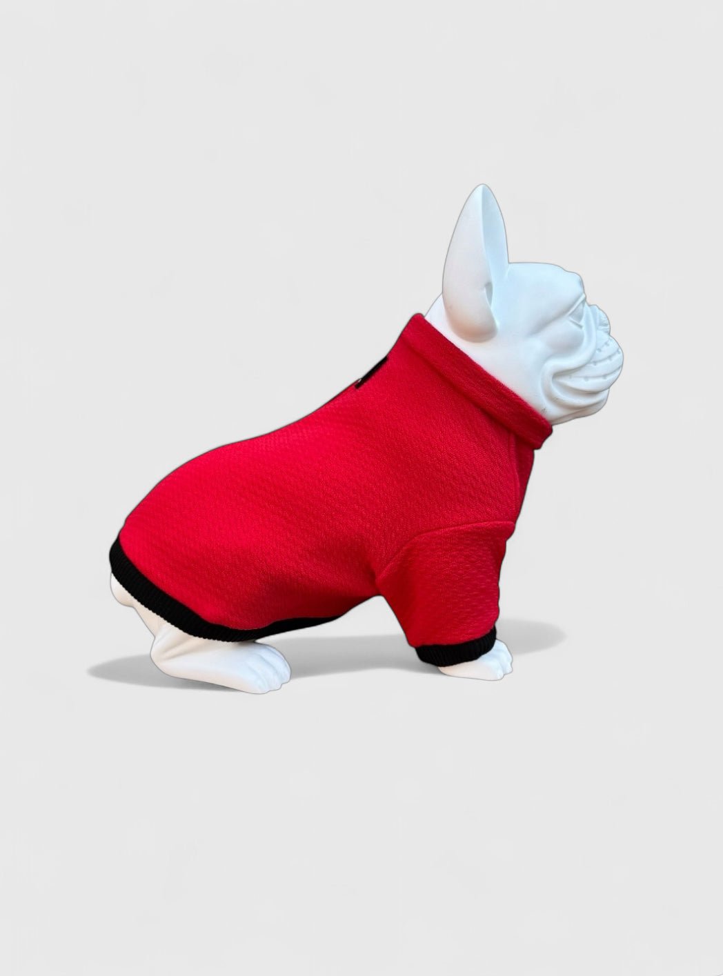 Felpa termica Power - BeWoof