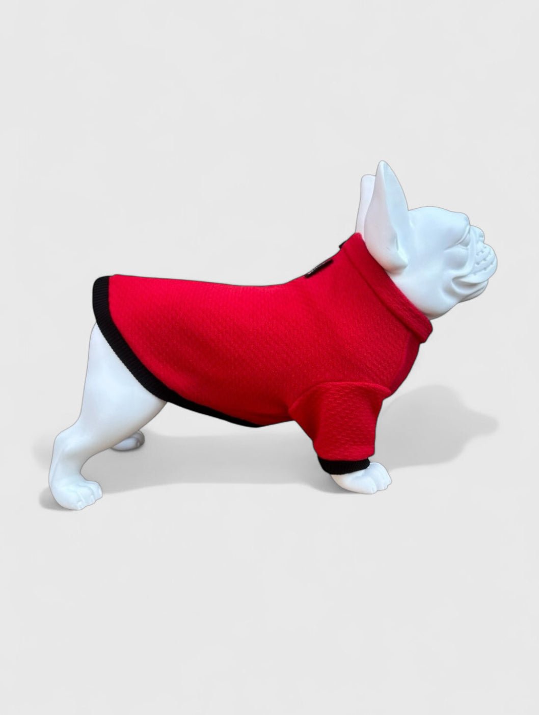 Felpa termica Power - BeWoof