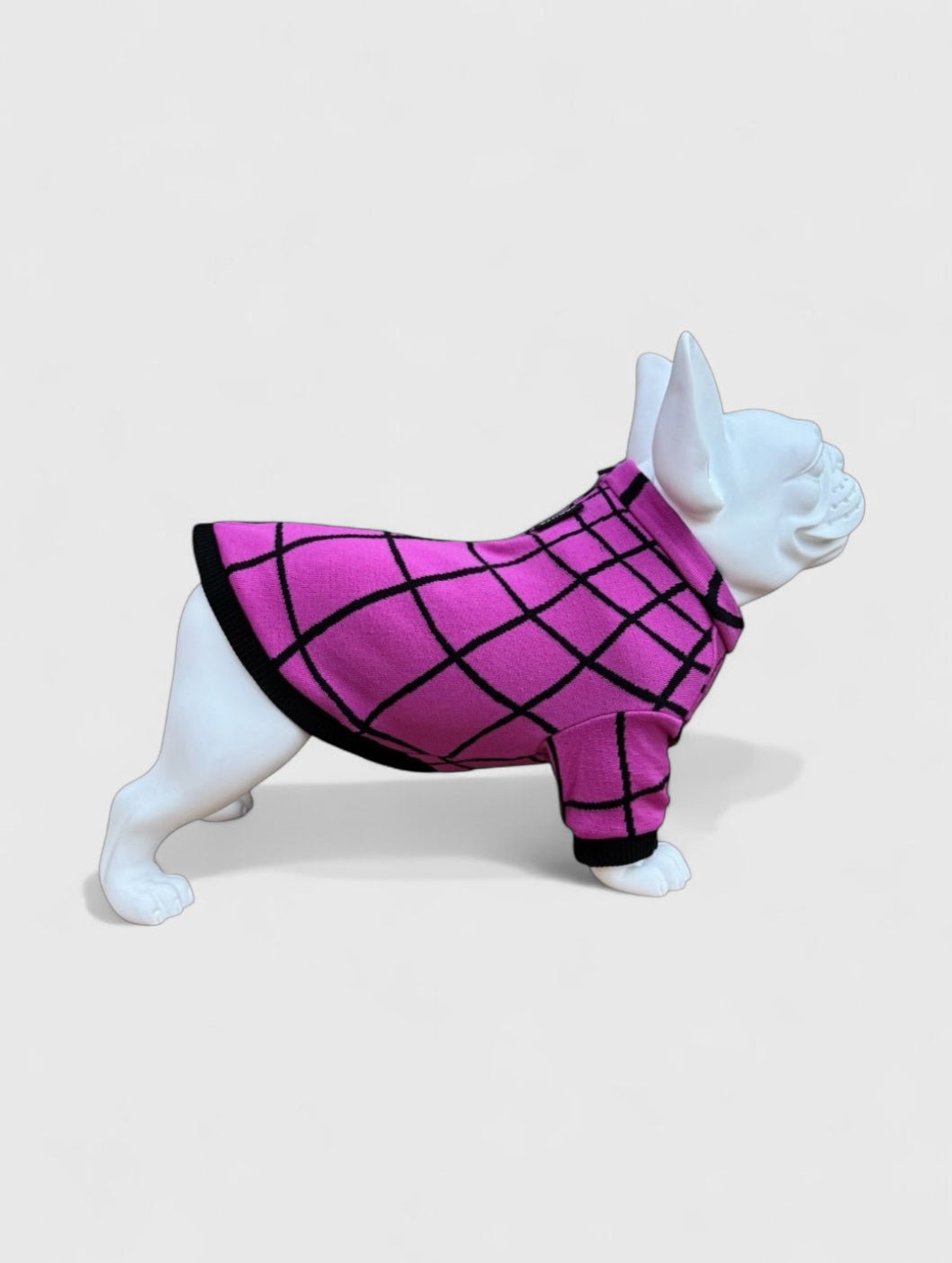 Felpa termica Tunnel Purple - BeWoof