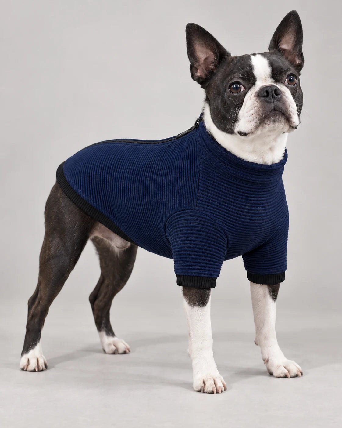 Felpa termica 3d Knit Blue — campagna BeWoof