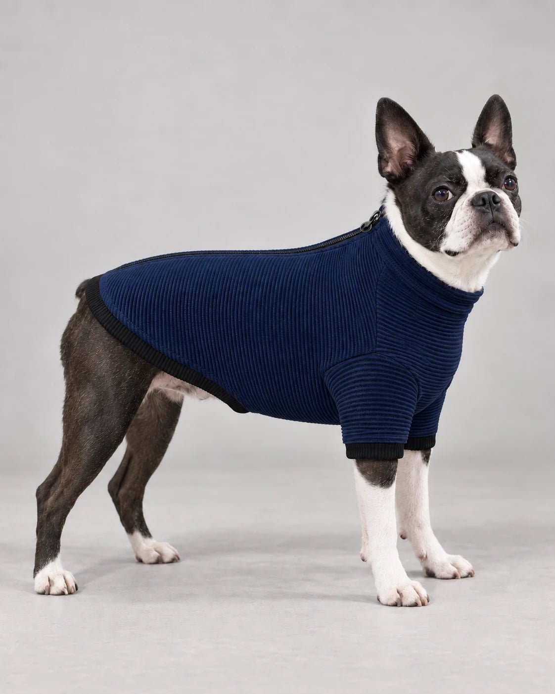 Felpa termica 3d Knit Blue — campagna BeWoof