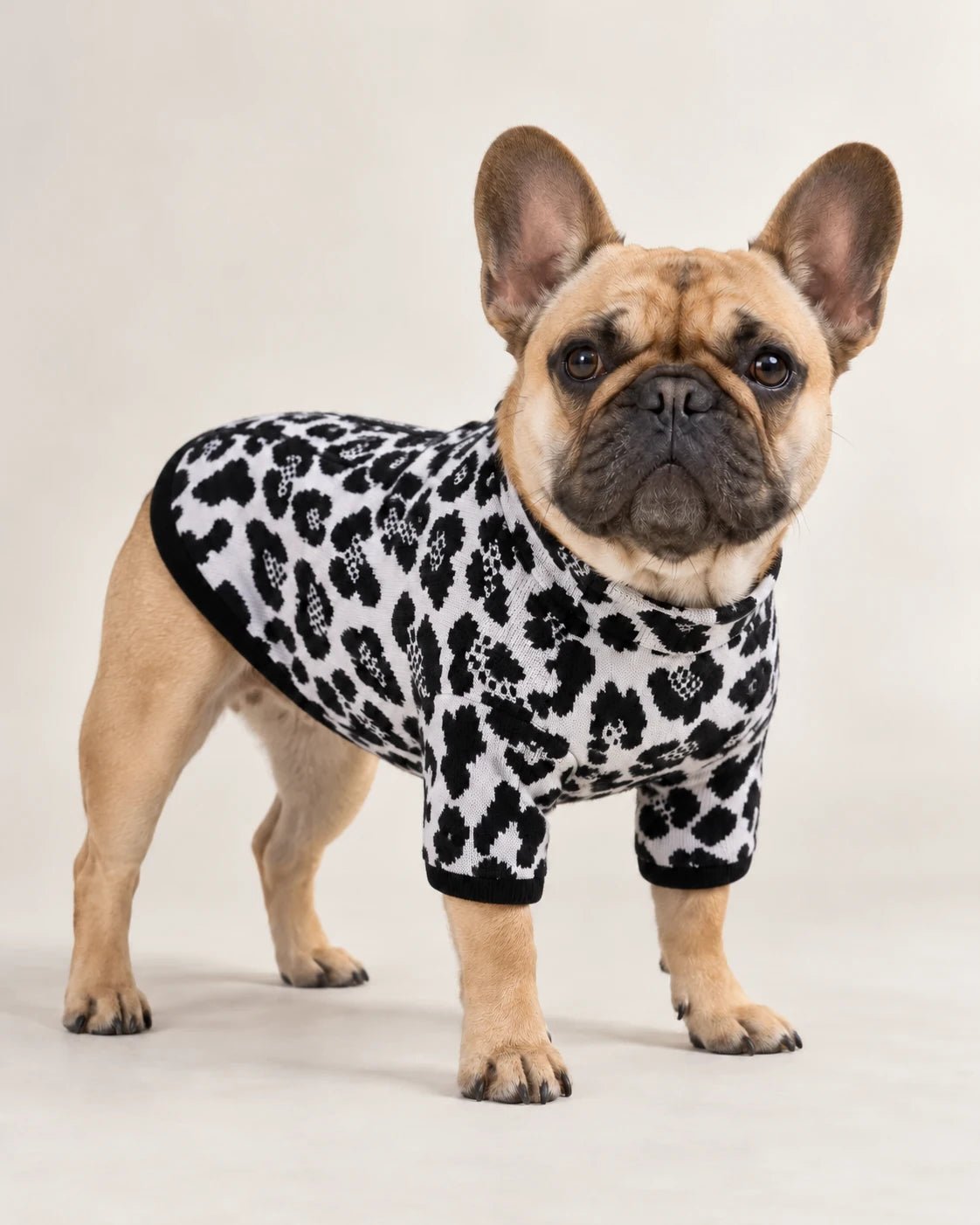 Felpa termica Leopard — campagna BeWoof