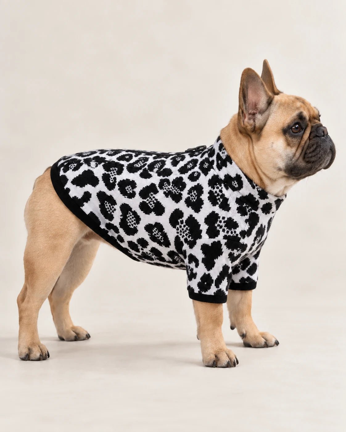 Felpa termica Leopard — campagna BeWoof