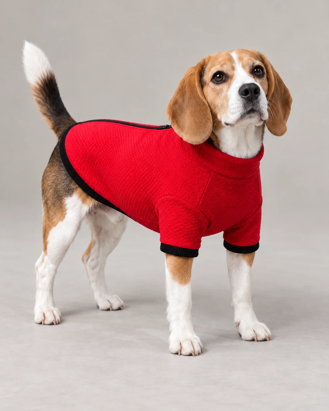 Felpa termica Power — campagna BeWoof
