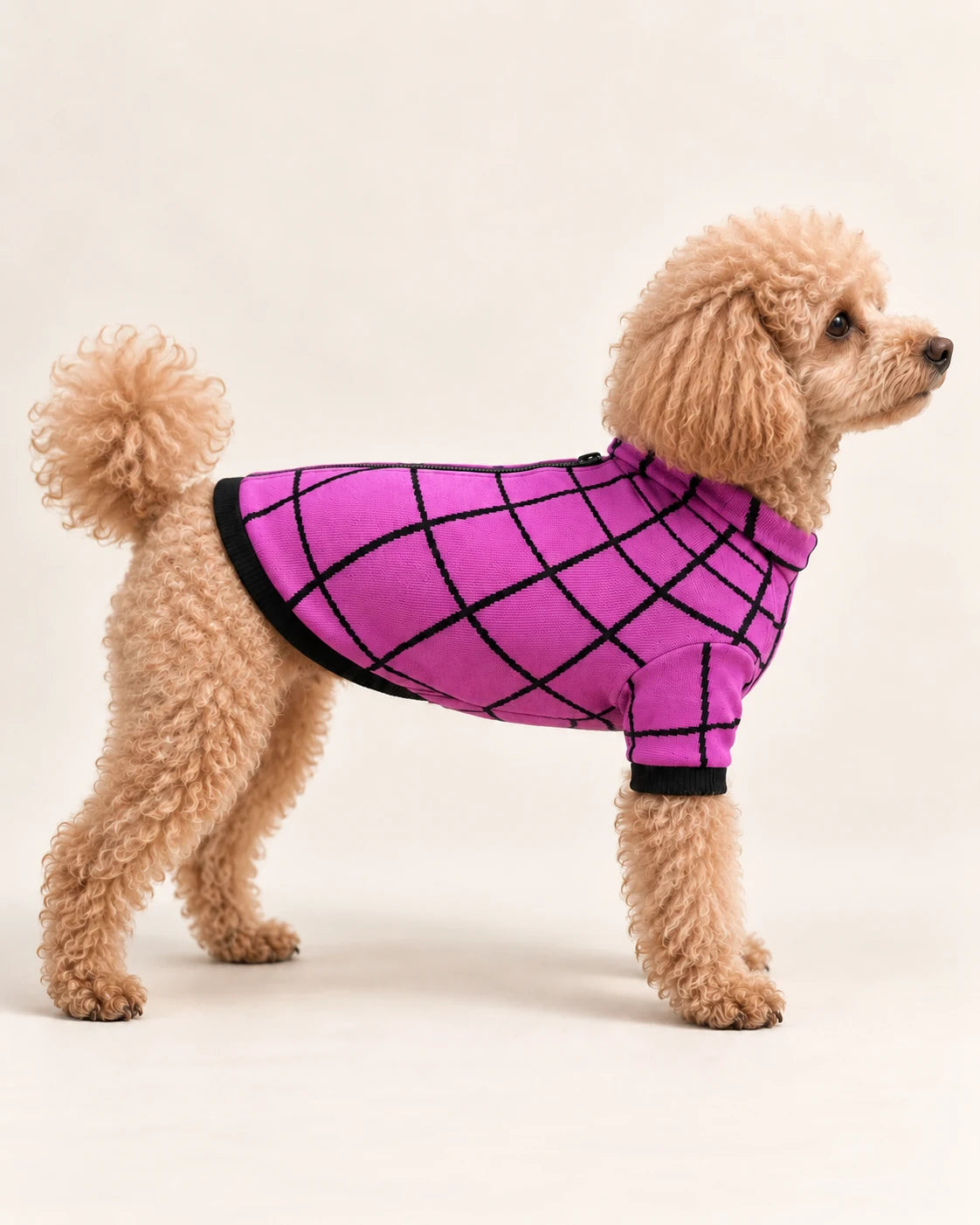 Felpa termica Tunnel Purple — campagna BeWoof