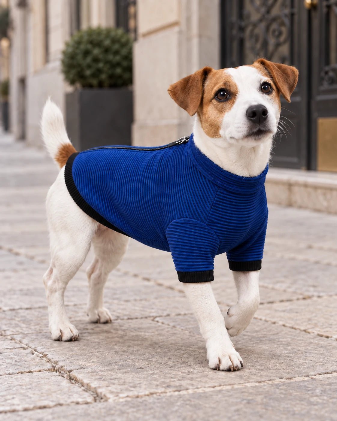 Felpa termica 3d Knit Light Blue — foto 5