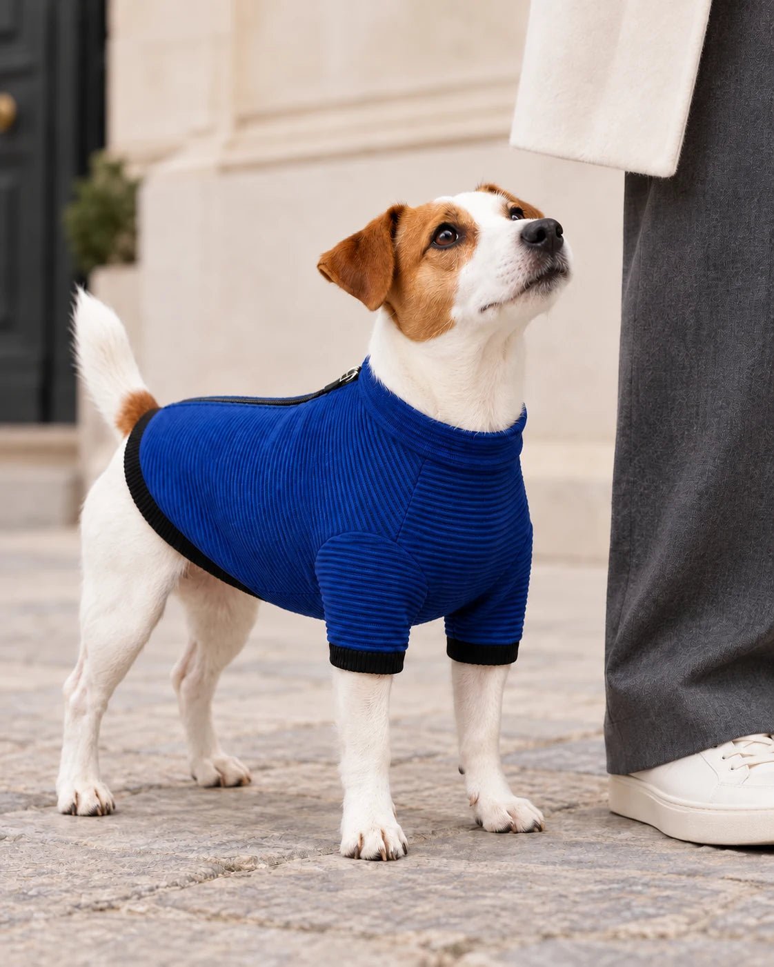 Felpa termica 3d Knit Light Blue — foto 7