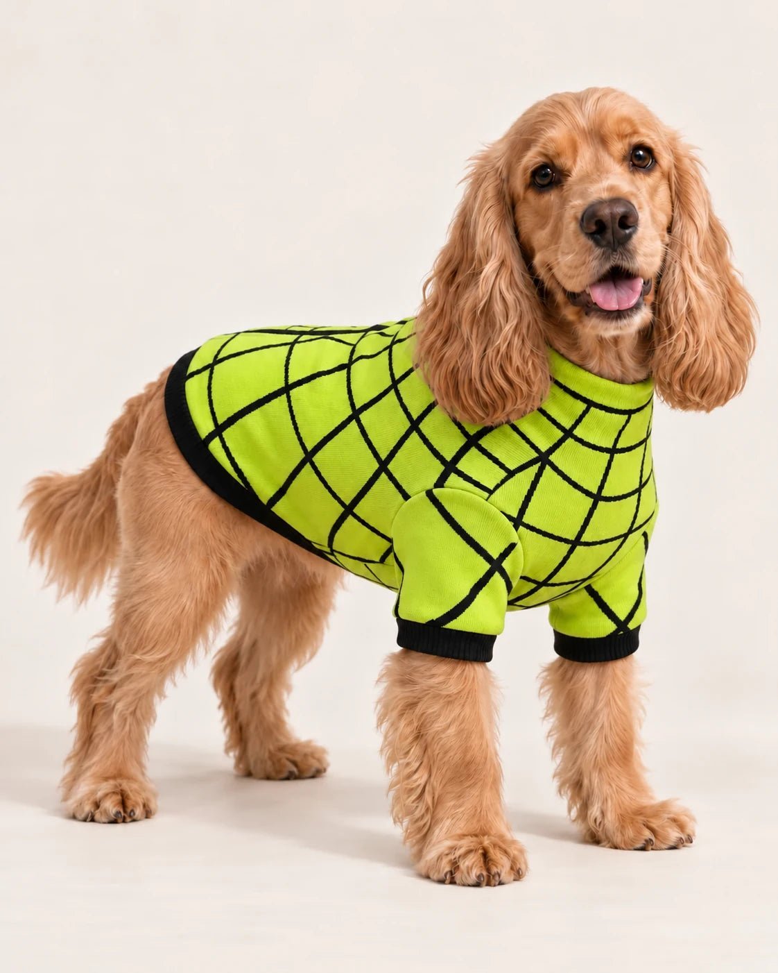 Felpa termica Tunnel Green — campagna BeWoof