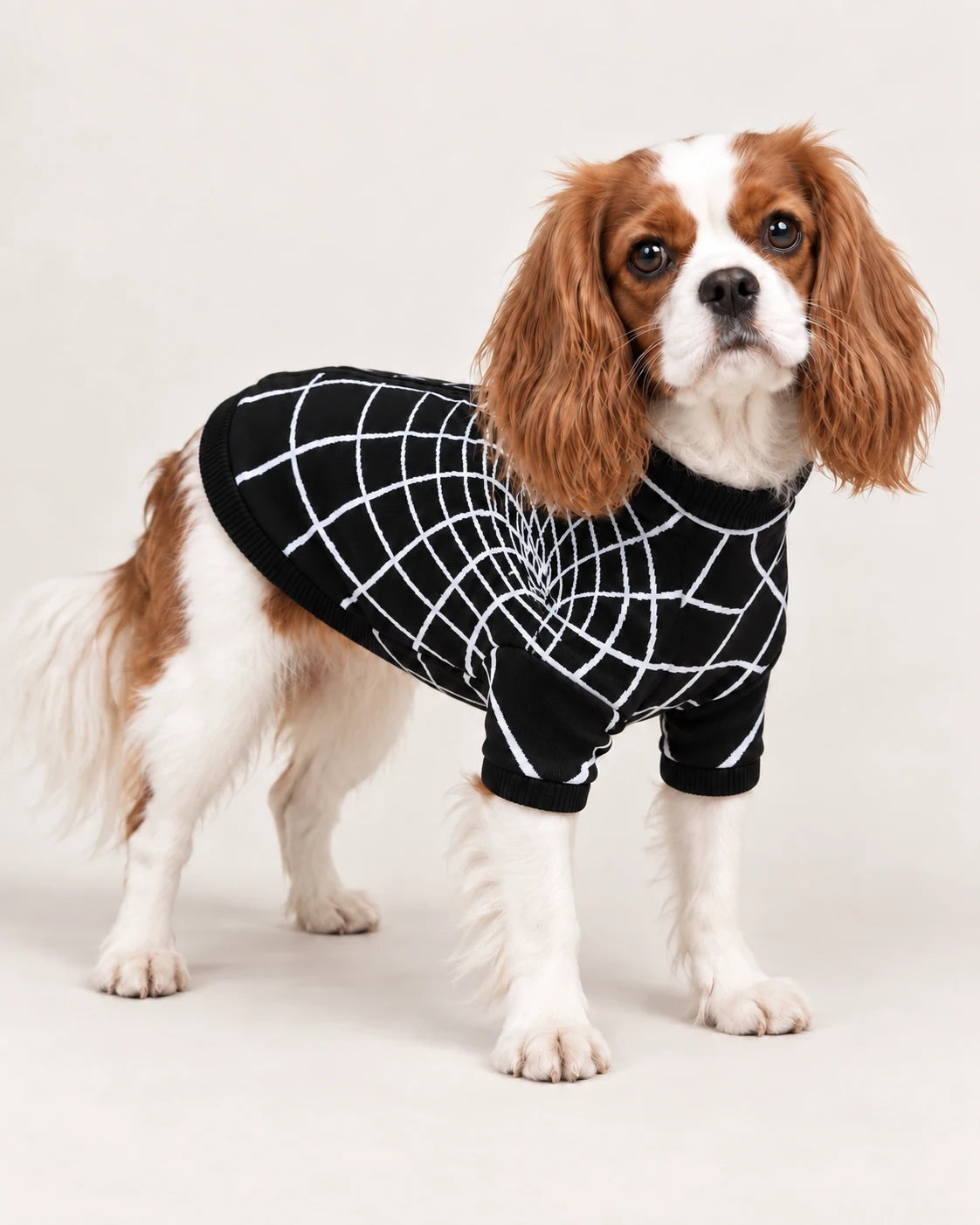 Felpa termica Tunnel Black — campagna BeWoof
